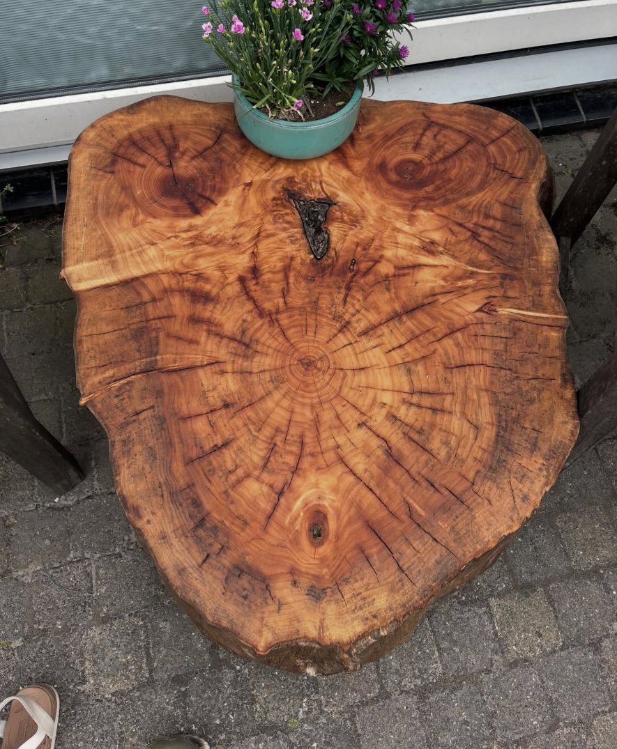 Oehoe tafeltje: boomschijf als bijzettafel
